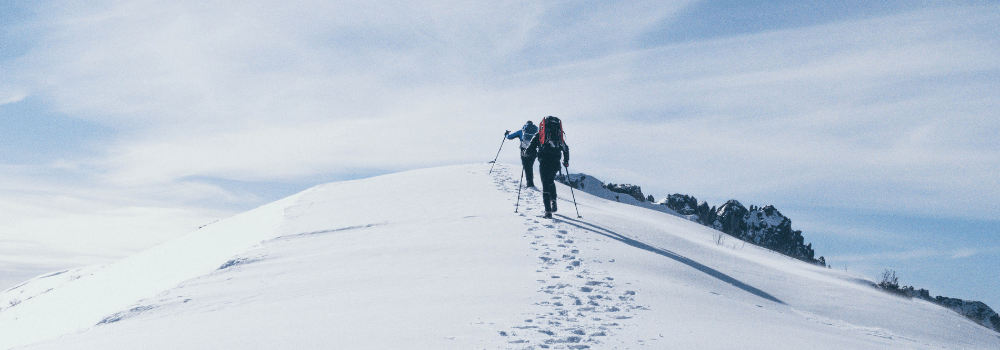 nordic walking