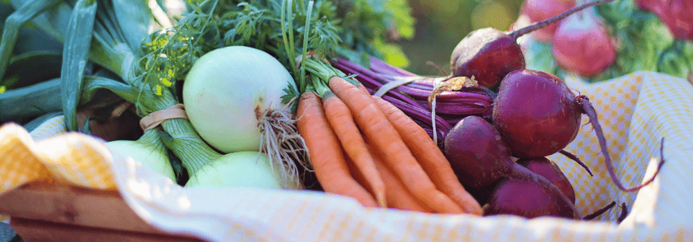 easiest vegetables to grow