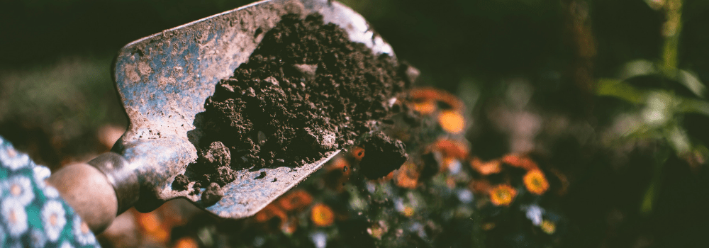 benefits of gardening