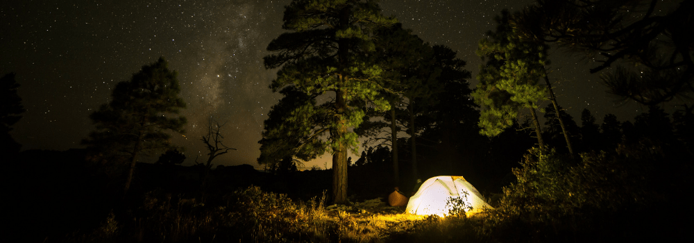 wild camping equipment list