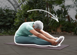 STRETCHING FOR FLEXIBILITY OVER 50 visual data 3